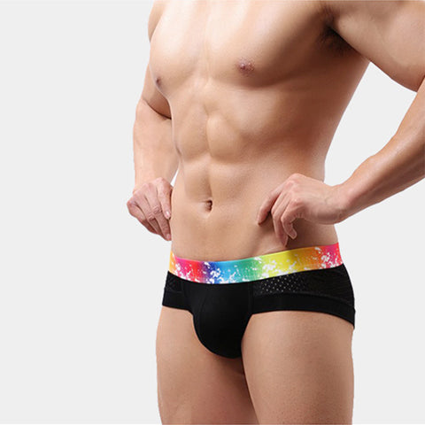 Panteazy's Colorful Rainbow Waistband Men's Underwear Boxer