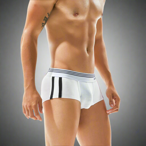 Panteazy's Menswear Side Stripe Print Design Stretchable Short Length Brief