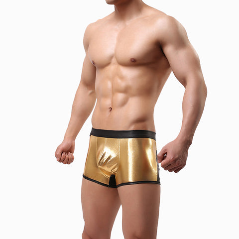 Panteazy's Shiny Brief Boxer for Men with Contrast details