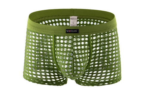 Panteazy's Men's Self Fabric Cut Mesh Hole See through Brief Underwear