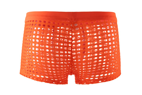 Panteazy's Men's Self Fabric Cut Mesh Hole See through Brief Underwear