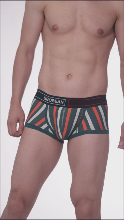 Panteazy's Menswear Stripe Print Design Stretchable Short Length Briefs