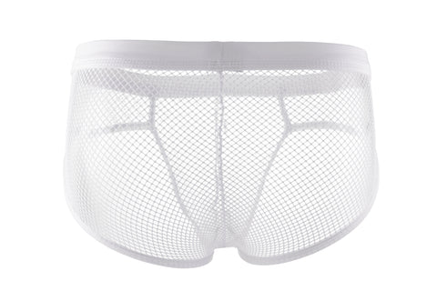 Panteazy's Men's See through Mesh Frenchie Brief Underwear