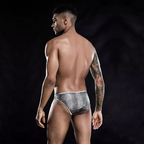 Panteazy's Men's Black Stripe Silver Print Brief Sexy Frenchie Underwear