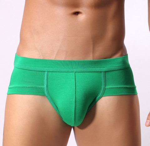 Panteazy's Silky Touch Men's Modal Microfiber Brief Underwear