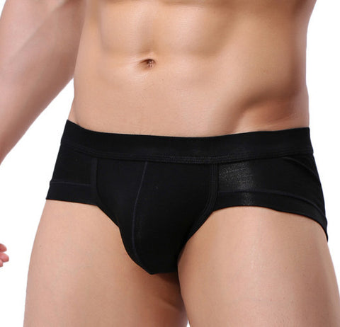 Panteazy's Silky Touch Men's Modal Microfiber Brief Underwear