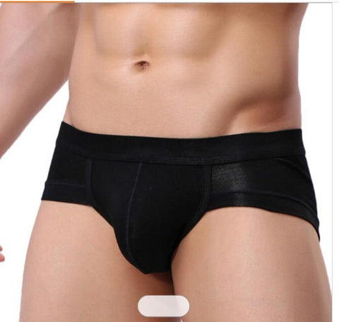 Panteazy's Silky Touch Men's Modal Microfiber Brief Underwear